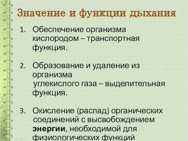 Значение и функции дыхания Обеспечение организма кислородом – транспортная функция. Образование