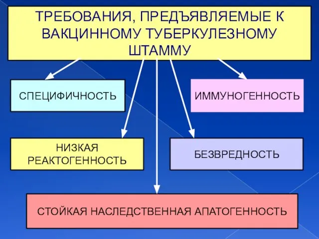 ТРЕБОВАНИЯ, ПРЕДЪЯВЛЯЕМЫЕ К ВАКЦИННОМУ ТУБЕРКУЛЕЗНОМУ ШТАММУ СПЕЦИФИЧНОСТЬ ИММУНОГЕННОСТЬ НИЗКАЯ РЕАКТОГЕННОСТЬ БЕЗВРЕДНОСТЬ СТОЙКАЯ НАСЛЕДСТВЕННАЯ АПАТОГЕННОСТЬ