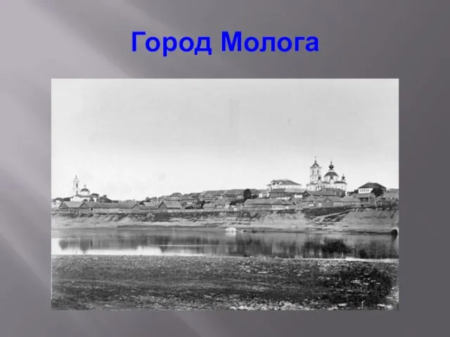 Город Молога