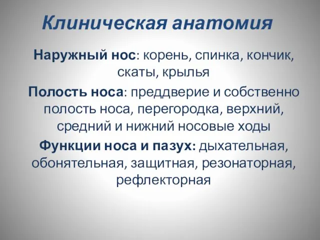 Клиническая анатомия Наружный нос: корень, спинка, кончик, скаты, крылья Полость носа: