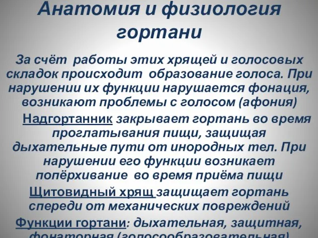 Анатомия и физиология гортани За счёт работы этих хрящей и голосовых