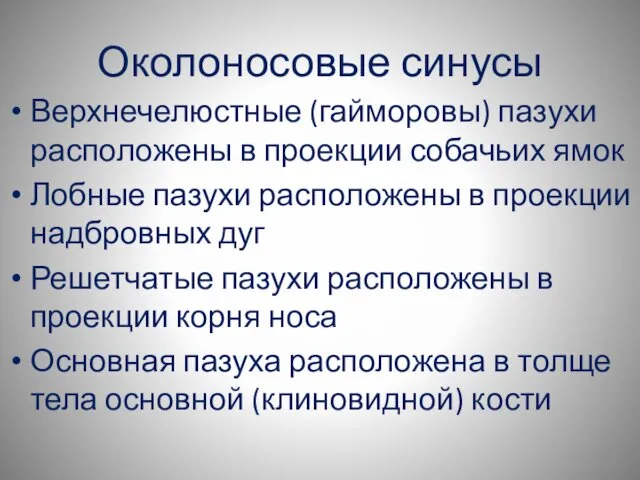 Околоносовые синусы Верхнечелюстные (гайморовы) пазухи расположены в проекции собачьих ямок Лобные