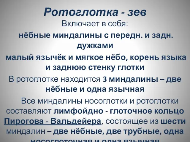 Ротоглотка - зев Включает в себя: нёбные миндалины с передн. и