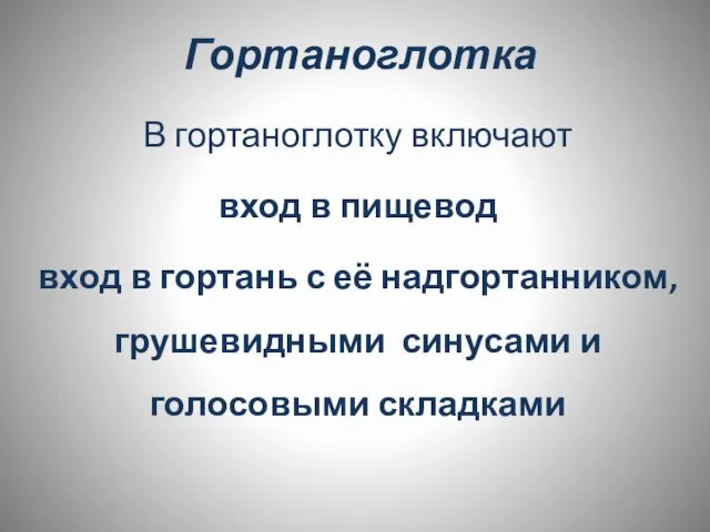 Гортаноглотка В гортаноглотку включают вход в пищевод вход в гортань с