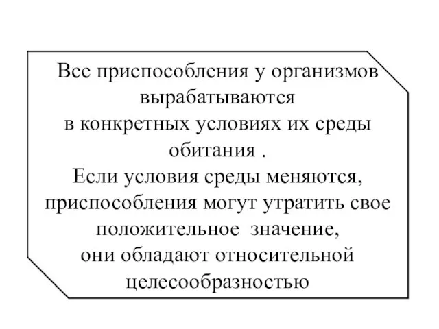 Все приспособления у организмов вырабатываются в конкретных условиях их среды обитания