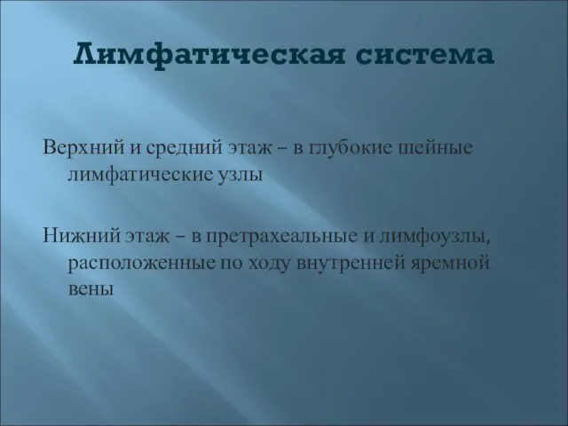 Лимфатическая система Верхний и средний этаж – в глубокие шейные лимфатические