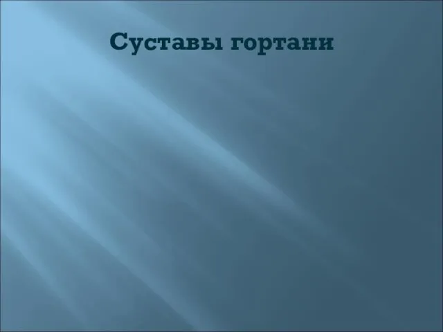 Суставы гортани