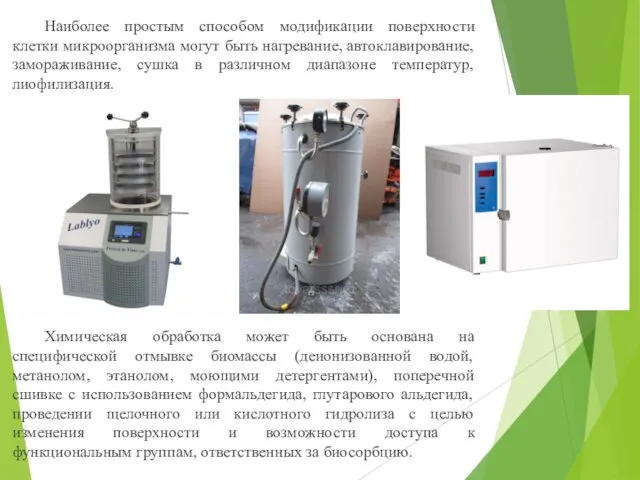 Наиболее простым способом модификации поверхности клетки микроорганизма могут быть нагревание, автоклавирование,