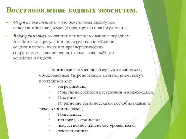 Озерные экосистемы – это экосистемы замкнутых поверхностных водоемов (озера, пруды) и