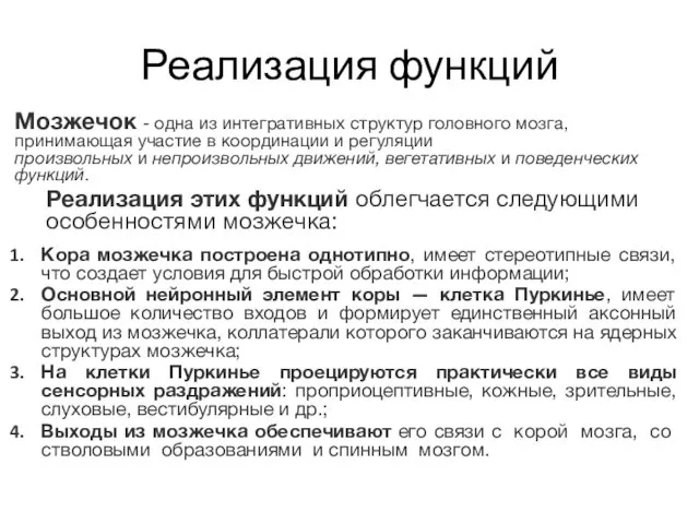 Реализация функций Мозжечок - одна из интегративных структур головного мозга, принимающая