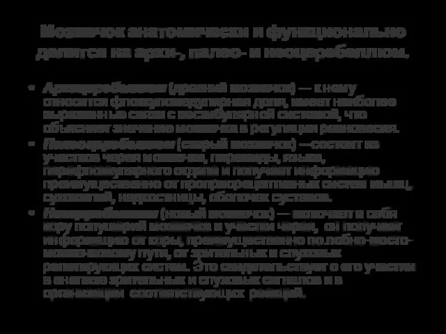 Мозжечок анатомически и функционально делится на архи-, палео- и неоцеребеллюм. Архицеребеллюм