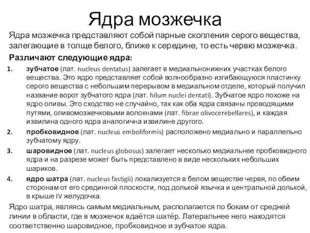 Ядра мозжечка Ядра мозжечка представляют собой парные скопления серого вещества, залегающие