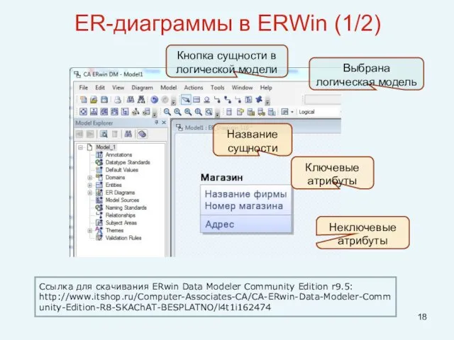 ER-диаграммы в ERWin (1/2) Название сущности Ключевые атрибуты Неключевые атрибуты Кнопка