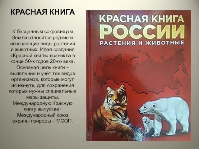 КРАСНАЯ КНИГА К бесценным сокровищам Земли относятся редкие и исчезающие виды