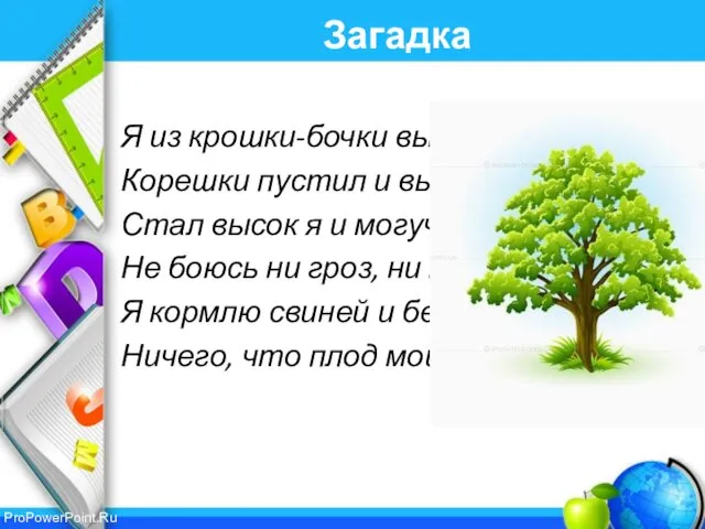 Загадка Я из крошки-бочки вылез, Корешки пустил и вырос, Стал высок