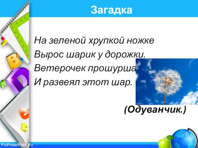 Загадка На зеленой хрупкой ножке Вырос шарик у дорожки. Ветерочек прошуршал И развеял этот шар. (Одуванчик.)