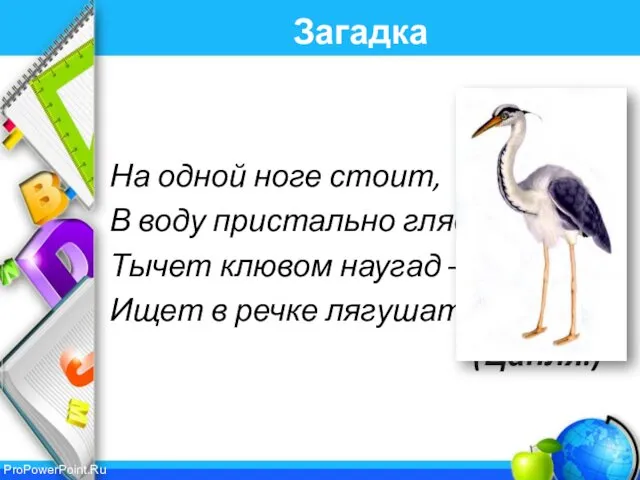 Загадка На одной ноге стоит, В воду пристально глядит. Тычет клювом