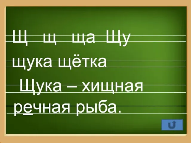 Щ щ ща Щу щука щётка Щука – хищная речная рыба.