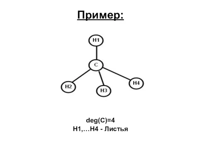 Пример: deg(C)=4 H1,…H4 - Листья