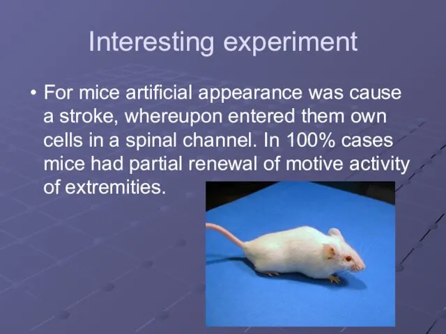 Interesting experiment For mice artificial appearance was cause a stroke, whereupon