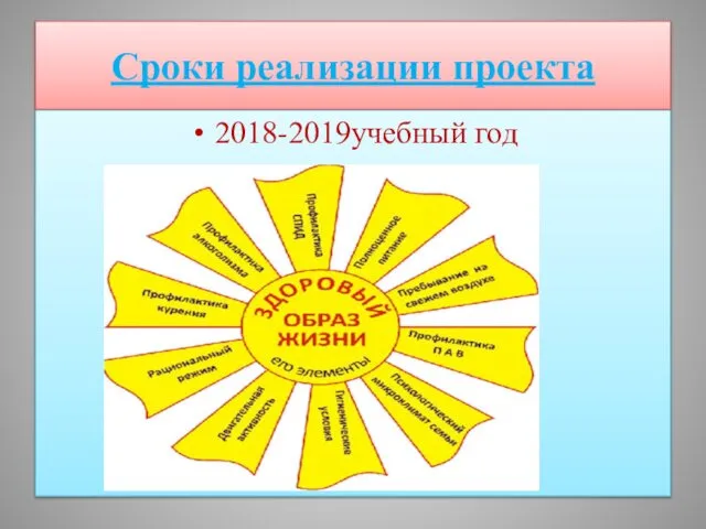 Сроки реализации проекта 2018-2019учебный год