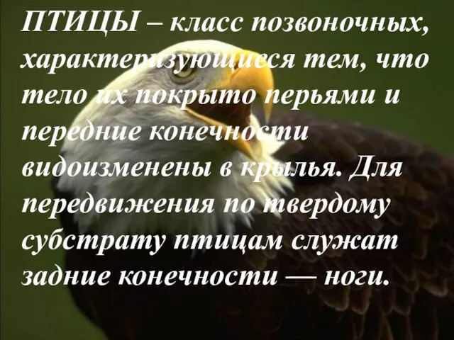 ПТИЦЫ – класс позвоночных, характеризующиеся тем, что тело их покрыто перьями