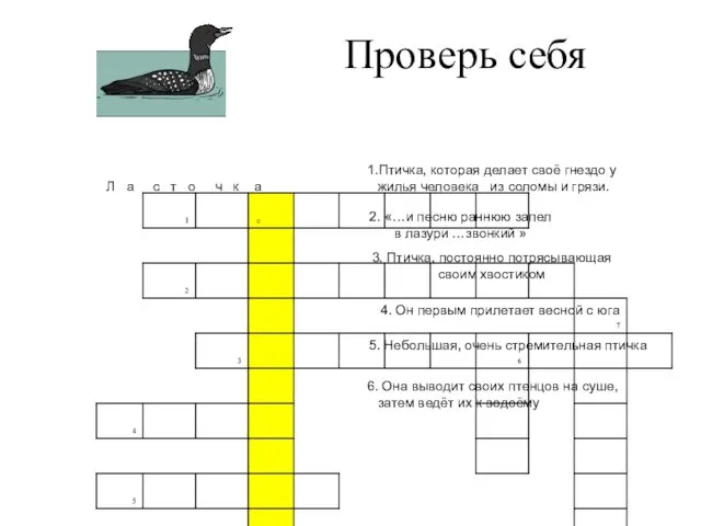 Проверь себя 1.Птичка, которая делает своё гнездо у жилья человека из