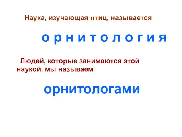 Наука, изучающая птиц, называется о р н и т о л