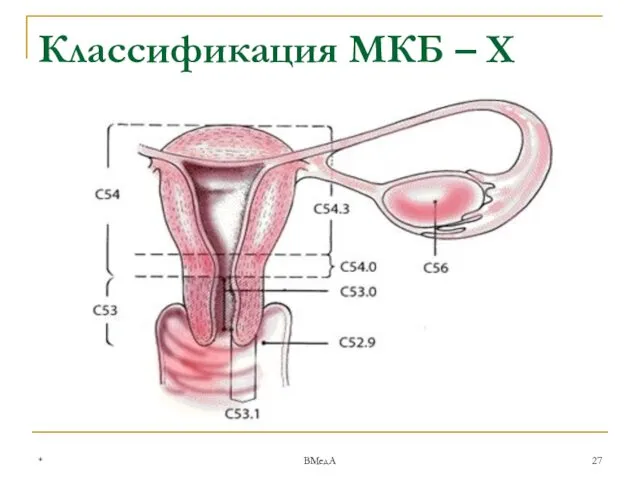 * ВМедА Классификация МКБ – Х