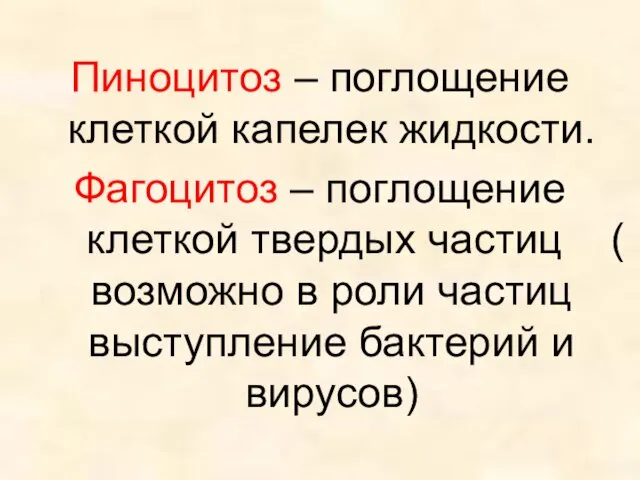 Пиноцитоз – поглощение клеткой капелек жидкости. Фагоцитоз – поглощение клеткой твердых