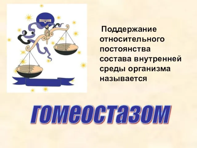 Поддержание относительного постоянства состава внутренней среды организма называется гомеостазом