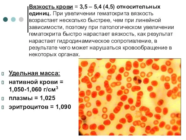 Вязкость крови = 3,5 – 5,4 (4,5) относительных единиц. При увеличении