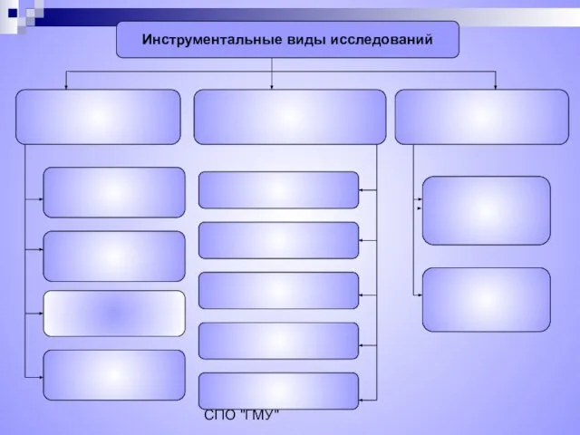 Коновалова Н.Ю. ГОУ СПО "ГМУ" Инструментальные виды исследований