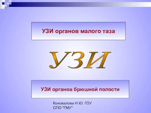 Коновалова Н.Ю. ГОУ СПО "ГМУ" УЗИ УЗИ органов малого таза УЗИ органов брюшной полости