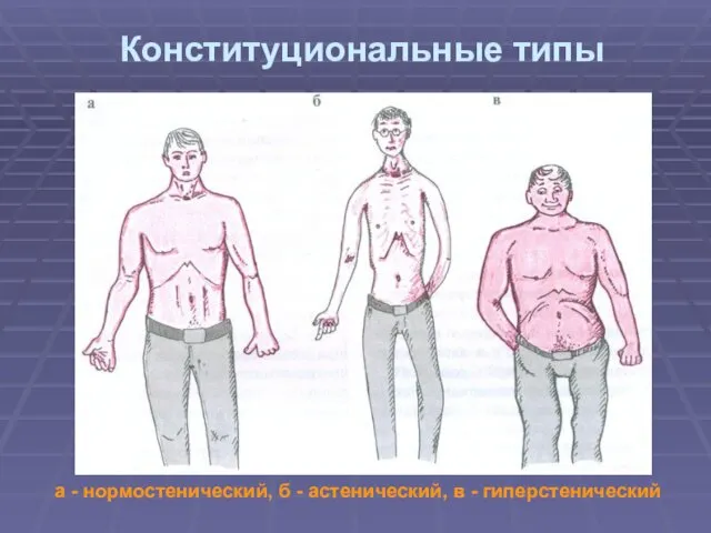 Конституциональные типы а - нормостенический, б - астенический, в - гиперстенический