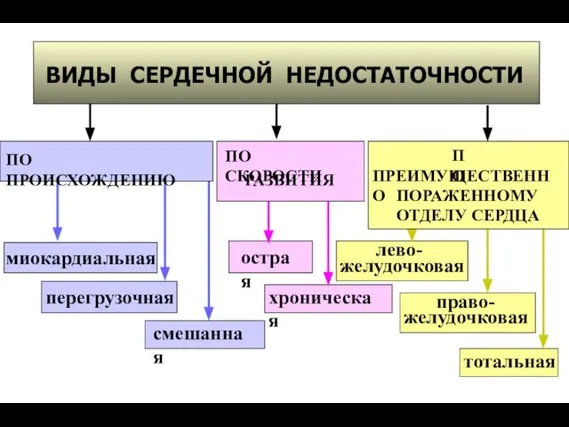 ВИДЫ СЕРДЕЧНОЙ НЕДОСТАТОЧНОСТИ миокардиальная острая право- желудочковая хроническая перегрузочная смешанная тотальная