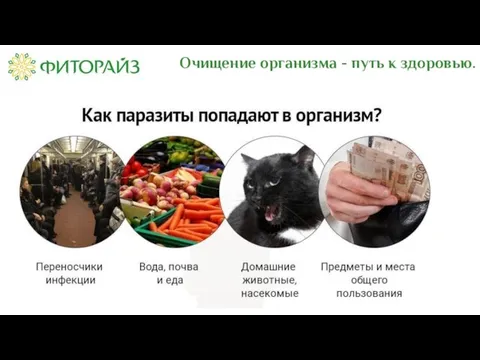 Очищение организма - путь к здоровью.