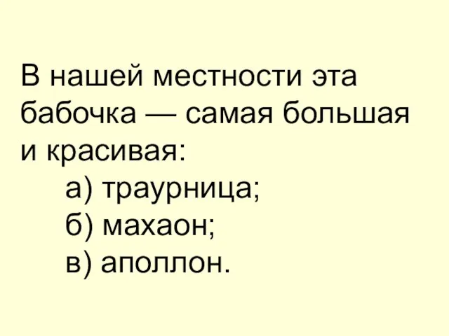 В нашей местности эта бабочка — самая большая и красивая: а) траурница; б) махаон; в) аполлон.