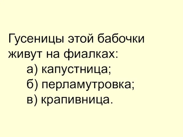 Гусеницы этой бабочки живут на фиалках: а) капустница; б) перламутровка; в) крапивница.