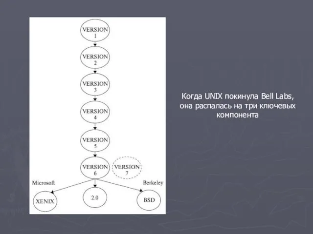 Когда UNIX покинула Bell Labs, она распалась на три ключевых компонента