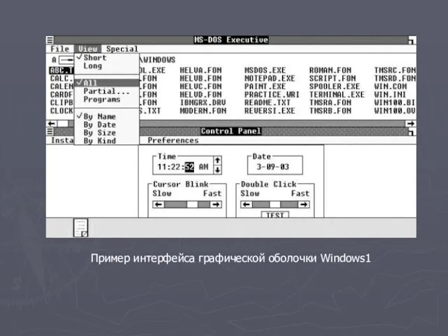 Пример интерфейса графической оболочки Windows1