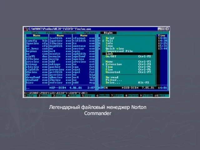 Легендарный файловый менеджер Norton Commander