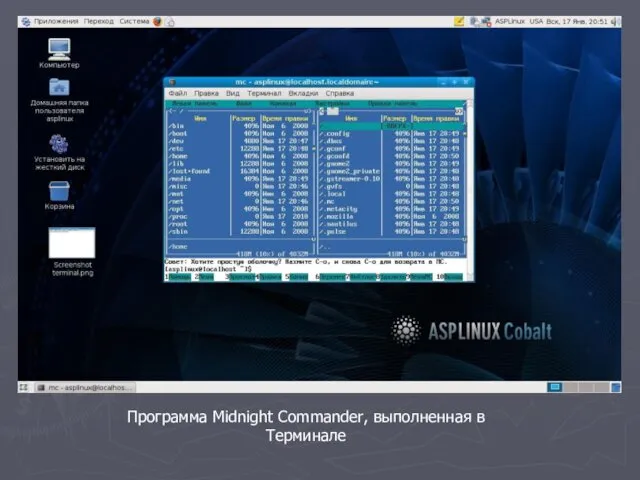 Программа Midnight Commander, выполненная в Терминале