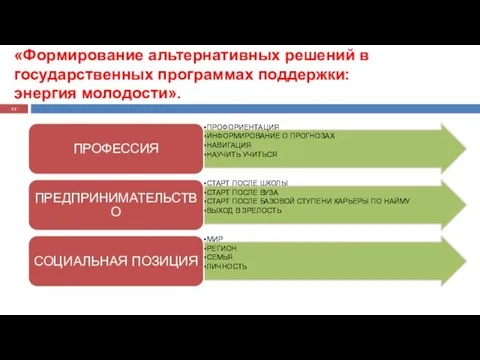 «Формирование альтернативных решений в государственных программах поддержки: энергия молодости».