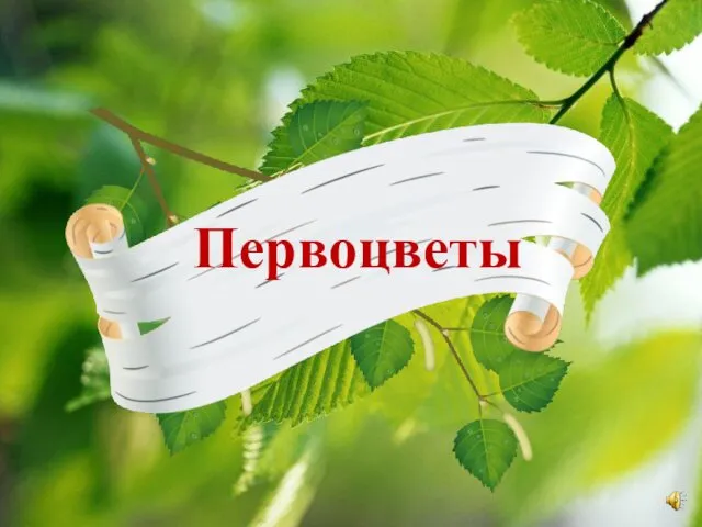 Первоцветы