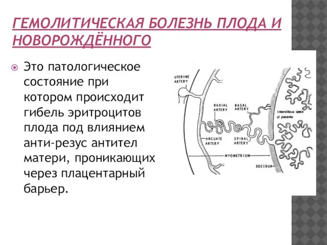 ГЕМОЛИТИЧЕСКАЯ БОЛЕЗНЬ ПЛОДА И НОВОРОЖДЁННОГО Это патологическое состояние при котором происходит