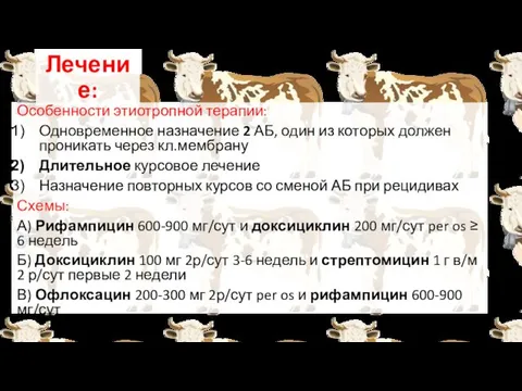 Лечение: Особенности этиотропной терапии: Одновременное назначение 2 АБ, один из которых