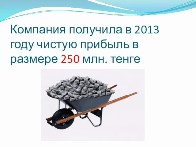 Компания получила в 2013 году чистую прибыль в размере 250 млн. тенге