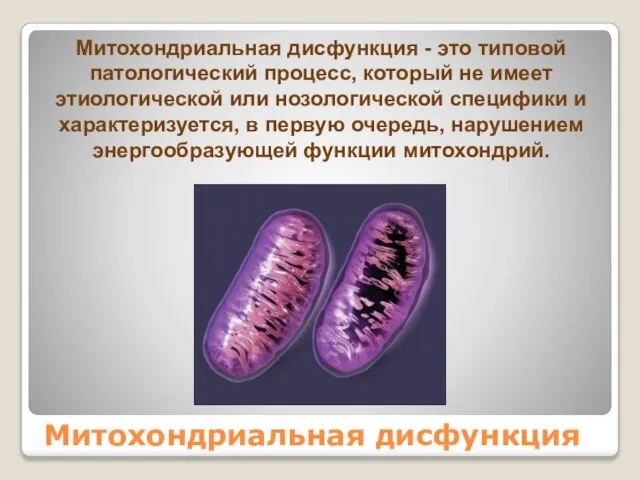 Митохондриальная дисфункция Митохондриальная дисфункция - это типовой патологический процесс, который не