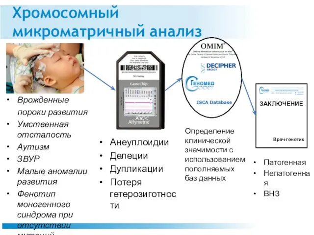 Хромосомный микроматричный анализ Врожденные пороки развития Умственная отсталость Аутизм ЗВУР Малые